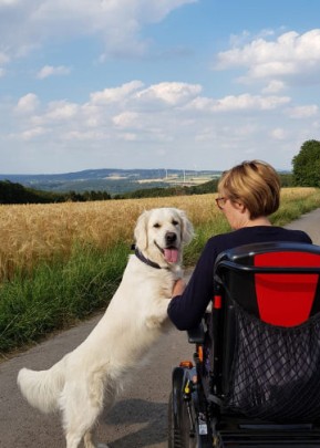 Ellis und Anke Ellis, eine helle Golden Retriever Hündin, und Anke sind mit dem Elektrorollstuhl unterwegs. Ellis steht mit ihren beiden Vorderpfoten auf dem Rollstuhl und schaut mit einem zufriedenen Lächeln in die Kamera. Ellis hechelt, draußen ist es warm, der Himmel ist blau mit weißen Schönwetterwolken. Am Rande sieht man ein Kornfeld, im Hintergrund eine hügelige Landschaft.