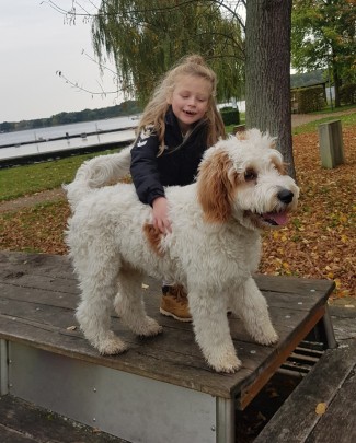 Maxine & Scout