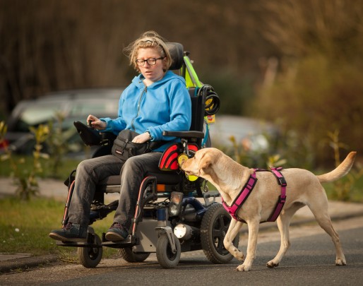Pitu und Michaela Das Foto zeigt einen hellen Labrador mit Namen Pitu. Pitu trägt ein pinkfarbenes Geschirr und läuft bei Fuß neben dem Elektrorollstuhl von Michaela. Pitu blickt aufmerksam zu Michaela, ob sie eine neue Aufgabe hat.