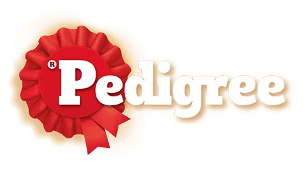 Hunde f&uuml;r Handicaps: Unterst&uuml;tzt von Pedigree