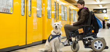 Mars & Jasmin - U-Bahn Jasmin ist mit ihrem Eletrorollstuhl in Berlin mit öfftenlichen Verkehrsmitteln unterwegs. Sie wird von Mars, dem weißen Golden Retrieverrüden begleitet. Das Foto zeig, wie die beiden vor einer gelben U-Bahn auf einem Bahnsteig stehen. Mars hat völlig cool vor Jasmins Rollstuhl "Sitz" gemacht. Er trägt die blaue Kenndecke von HfH, seine blau-weiß-rote Leine hängt locker herab. Mars hat seine beiden Ohren aufgestellt und sein interessierter Blick sagt uns, dass bestimmt ein guter Freund mit der Bahn angekommen sein muss. Jasmin ist mega stolz auf ihren tollen Partner.
