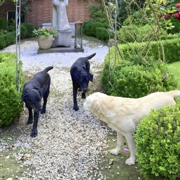 Gartenspaziergang