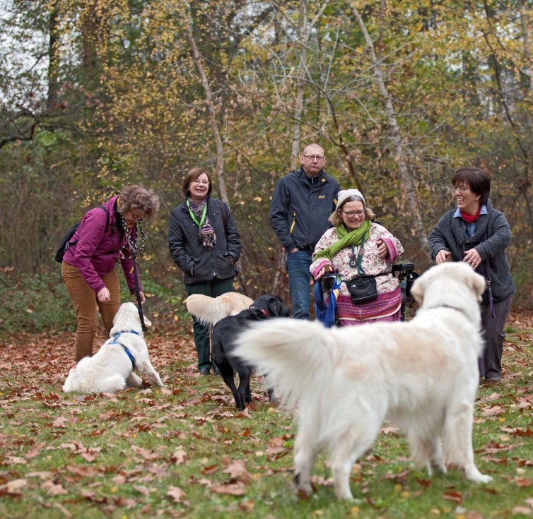 Dieses Foto zeigt eine Gruppe von sechs Menschen und f&uuml;nf Hunden auf einer Wiese. In Hintergrund sind B&auml;ume, es liegt Laub auf dem Gras. Eileen und Jasmin sind dort mit ihren Elektrorollst&uuml;hlen, dazu noch Maria, Andrea und die Paten von Mars. Drei helle Golden Retriever, ein goldener Golden Retriever und ein schwarzer Labrador Retriever wuseln zwischen den Menschen herum. Die Gruppe scheint Spa&szlig; zu haben. 