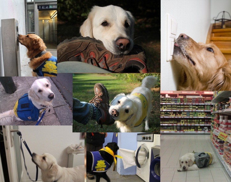 Collage Hilfeleistung